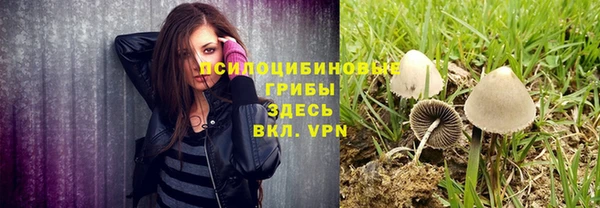 PSILOCYBIN Михайловск