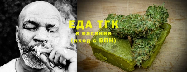 крисы Ельня