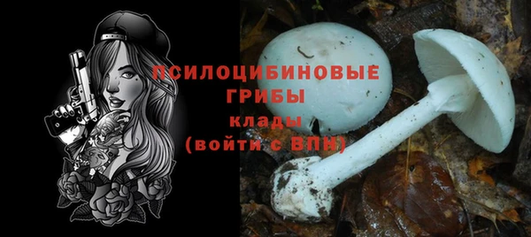 прущие крисы Ладушкин